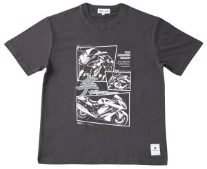 SUZUKI XYL TVc Hayabusa 2025 Ap