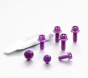 PRO BOLT プロボルト チェーンガード&リア ハガー ボルトキット レーススペック エッチング Dragster 800RR MV AGUSTA アグスタ キャリパーボルト・マウントボルト ブレーキ