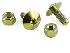 PRO BOLT �v���{���g �i���o�[�v���[�g �L�b�g 20 Caponord 1200 RS4 125 50 Tuono V4R CBR600FA VFR1200 ER6-F ER6-N W800 Z1000 SX AN650 Burgman GSX-R1000 Speed Triple R Tiger 800 MT-07 MT-09 V-Max 1700 �L�����p�[�{���g�E�}�E���g�{