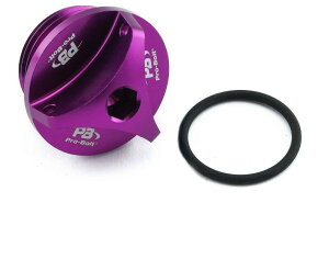 PRO BOLT v{g ICtB[ Lbv HP4 S1000RR S1000R S1000XR BMW tB[Lbv GWp[c GW