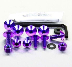 PRO BOLT v{g }bhK[hnK[ {gLbg V-Max 1700 YAMAHA }n ̑OIvVECi O