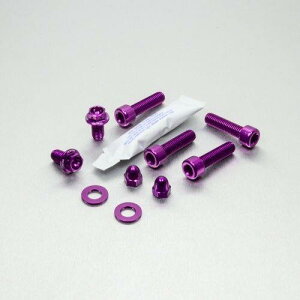 PRO BOLT �v���{���g �w�b�h���C�g �}�E���g�L�b�g Thruxton 1200 TRIUMPH �g���C�A���t ���Η� �d���n