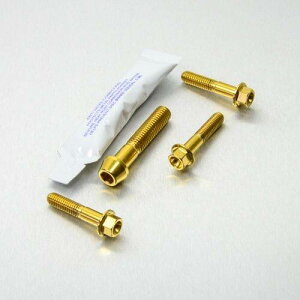 PRO BOLT v{g GL][Xg nK[ }Eg{gLbg R1200GS Adventure BMW ̑}t[IvVECi }t[