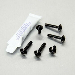 PRO BOLT �v���{���g �w�b�h���C�g �}�E���g�{���g�L�b�g HP4 S1000RR BMW ���Η� �d���n