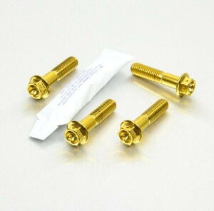 PRO BOLT v{g NbvI ^ nho[ }Eg{g [XXybN S1000R Africa Twin CRF1100L CRF150R CRF250R CRF450R ER6-F ER6-N KLX125 KLX250 Versys 1000 250 EXC-F 65 SX 690 Duke 990 Adventure RMZ250 MT-09 L