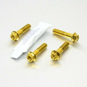 PRO BOLT v{g NbvI ^ nho[ }Eg{g [XXybN CRF250R DRZ400 SM RMZ250 RMZ450 HONDA z_ SUZUKI XYL Lp[{gE}Eg{g u[L