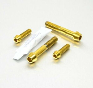 PRO BOLT �v���{���g �N���b�v�I�� �^ �n���h���o�[ �}�E���g�{���g Tiger 800 TRIUMPH �g���C�A���t �L�����p�[�{���g�E�}�E���g�{���g �u���[�L