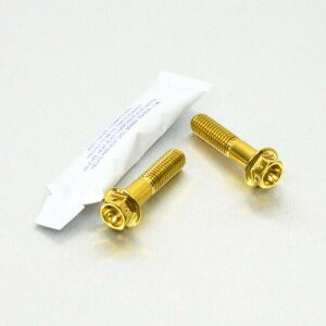 PRO BOLT �v���{���g �N���b�v�I�� �^ �n���h���o�[ �}�E���g�{���g ���[�X�X�y�b�N RS250 RS125R GSX-R1000 GSX-R600 GSX-R750 SV1000S SV650 APRILIA �A�v�����A HONDA �z���_ SUZUKI �X�Y�L �L�����p�[�{���g�E�}�E