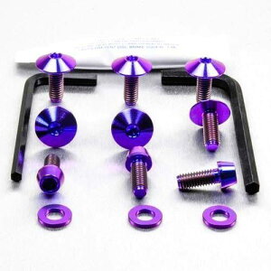 PRO BOLT v{g GL][Xgq[gV[h }Eg{gLbg YBR125 YAMAHA }n ̑}t[IvVECi }t[