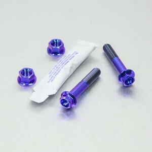PRO BOLT v{g GL][Xg }Eg{gLbg [XXybN GSX1300R Hayabusa SV1000S SV1000 SUZUKI XYL ̑}t[IvVECi }t[