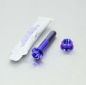 PRO BOLT v{g GL][Xg }Eg{gLbg MSX125 Grom GSF600 Bandit GSR750Z Katana SV650 Daytona 955i Speed Triple HONDA z_ SUZUKI XYL TRIUMPH gCAt ̑}t[IvVEC