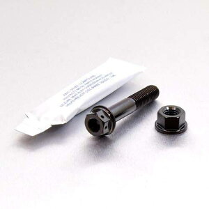 PRO BOLT v{g GL][Xg }Eg{gLbg fAhCu MSX125 Grom GSF600 Bandit GSR750Z Katana SV650 Daytona 955i Speed Triple HONDA z_ SUZUKI XYL TRIUMPH gCAt ̑}t[