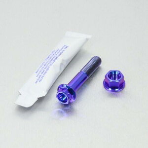 PRO BOLT v{g GL][Xg }Eg{gLbg [XXybN MSX125 Grom GSF600 Bandit GSR750Z Katana SV650 Daytona 955i Speed Triple HONDA z_ SUZUKI XYL TRIUMPH gCAt ̑}t[I