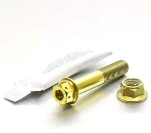 PRO BOLT v{g GL][Xg }Eg{gLbg fAhCu Ninja 250 SL Z250 KAWASAKI JTL ̑}t[IvVECi }t[