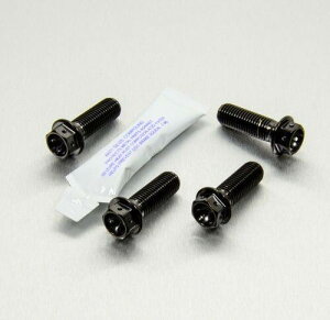 PRO BOLT v{g Tut[ {gLbg [XXybN ZX-10R Ninja DL650A V-Strom GSX-S1000FA GSX-S1000 GSX1400 KAWASAKI JTL SUZUKI XYL Lp[{gE}Eg{g u[L