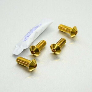 PRO BOLT v{g Tut[ {gLbg ZX-10R Ninja GSX-R600 GSX-R750 KAWASAKI JTL SUZUKI XYL Lp[{gE}Eg{g u[L