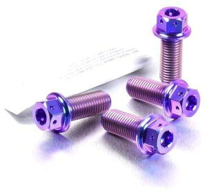 PRO BOLT v{g Tut[ }Eg {gLbg fAhCu R1200GS TE Ninja ZX-6R DL1000 V-Strom GSX-R1000 BMW KAWASAKI JTL SUZUKI XYL Lp[{gE}Eg{g u[L