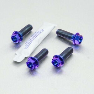 PRO BOLT v{g Tut[ }Eg {gLbg ZX-10R Ninja DL650A V-Strom GSX-S1000FA GSX-S1000 GSX1400 KAWASAKI JTL SUZUKI XYL Lp[{gE}Eg{g u[L