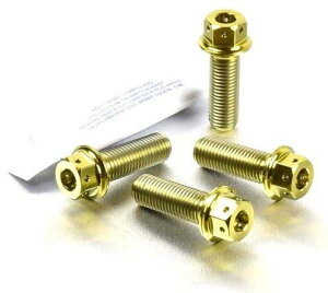 PRO BOLT v{g Tut[ }Eg {gLbg fAhCu ZX-10R Ninja DL650A V-Strom GSX-S1000FA GSX-S1000 GSX1400 KAWASAKI JTL SUZUKI XYL Lp[{gE}Eg{g u[