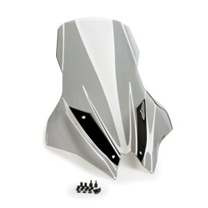 Puig �v�[�` V-TECH LINE �c�[�����O�X�N���[�� �g���V�e�B 300 YAMAHA ���}�n �X�N���[�� �O��