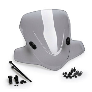 Puig v[` VeBc[O(City Touring) NEOfS YAMAHA }n XN[ O