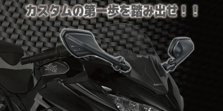 市場 TANAX S-11右側用 タナックス NAPOLEON ナポレオン 市場 TANAX S-11右側用 タナックス NAPOLEON ナポレオン