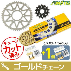 SUNSTAR TX^[ `F[XvPbg 3_Zbg Ninja ZX-25R KAWASAKI JTL XvPbgE`F[Zbg 쓮n `F[J[FS[h(`F[iԁFSS520SKC-116GD)