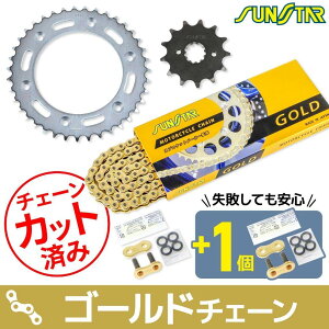 SUNSTAR TX^[ `F[XvPbg 3_Zbg XR250 BAJA HONDA z_ XvPbgE`F[Zbg 쓮n `F[J[FS[h(`F[iԁFSS520SKC-102GD)