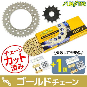 SUNSTAR TX^[ `F[XvPbg 3_Zbg WR250R YAMAHA }n XvPbgE`F[Zbg 쓮n `F[J[FS[h(`F[iԁFSS520SKC-108GD)