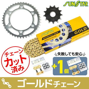 SUNSTAR TX^[ `F[XvPbg 3_Zbg WR250R YAMAHA }n XvPbgE`F[Zbg 쓮n `F[J[FS[h(`F[iԁFSS520SKC-108GD)