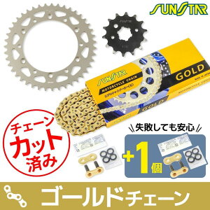 SUNSTAR TX^[ `F[XvPbg 3_Zbg SUPER SHERPA KAWASAKI JTL XvPbgE`F[Zbg 쓮n `F[J[FS[h(`F[iԁFSS520SKC-102GD)