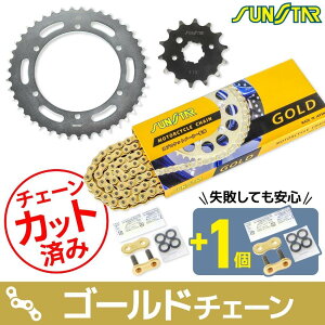 SUNSTAR TX^[ `F[XvPbg 3_Zbg SUPER SHERPA KAWASAKI JTL XvPbgE`F[Zbg 쓮n `F[J[FS[h(`F[iԁFSS520SKC-102GD)