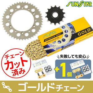 SUNSTAR TX^[ `F[XvPbg 3_Zbg RGV- 250SP SUZUKI XYL XvPbgE`F[Zbg 쓮n `F[J[FS[h(`F[iԁFSS520SKC-112GD)