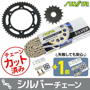 SUNSTAR TX^[ `F[XvPbg 3_Zbg GPZ900R KAWASAKI JTL XvPbgE`F[Zbg 쓮n `F[J[FVo[(`F[iԁFSS530SKC-112SV)