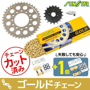 SUNSTAR �T���X�^�[ �`�F�[�����X�v���P�b�g 3�_�Z�b�g Z1-R KAWASAKI �J���T�L �X�v���P�b�g�E�`�F�[���Z�b�g �쓮�n �`�F�[���J���[�F�S�[���h(�`�F�[���i�ԁFSS530SKC-110GD)