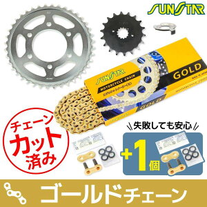 SUNSTAR �T���X�^�[ �`�F�[�����X�v���P�b�g 3�_�Z�b�g Z1-R KAWASAKI �J���T�L �X�v���P�b�g�E�`�F�[���Z�b�g �쓮�n �`�F�[���J���[�F�S�[���h(�`�F�[���i�ԁFSS530SKC-110GD)