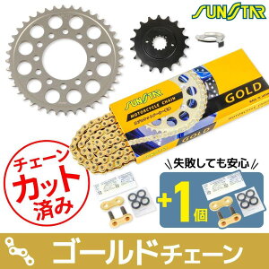 SUNSTAR �T���X�^�[ �`�F�[�����X�v���P�b�g 3�_�Z�b�g Z1-R KAWASAKI �J���T�L �X�v���P�b�g�E�`�F�[���Z�b�g �쓮�n �`�F�[���J���[�F�S�[���h(�`�F�[���i�ԁFSS525SKC-110GD)