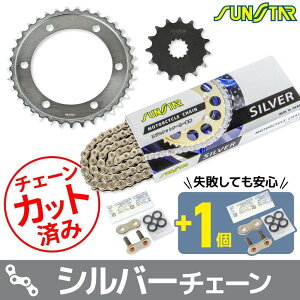 SUNSTAR TX^[ `F[XvPbg 3_Zbg W800 KAWASAKI JTL XvPbgE`F[Zbg 쓮n `F[J[FVo[(`F[iԁFSS520SKC-104SV)