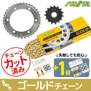 SUNSTAR TX^[ `F[XvPbg 3_Zbg W800 KAWASAKI JTL XvPbgE`F[Zbg 쓮n `F[J[FS[h(`F[iԁFSS520SKC-104GD)