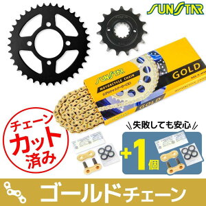 SUNSTAR TX^[ `F[XvPbg 3_Zbg ESTRELLA CUSTOM LE RS KAWASAKI JTL XvPbgE`F[Zbg 쓮n `F[J[FS[h(`F[iԁFSS520SKC-102GD)