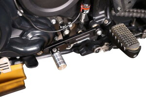 Dynojet _CmWFbg LEVER SHFT FOLD PANAM 21{ Vtgy_ Xebv 