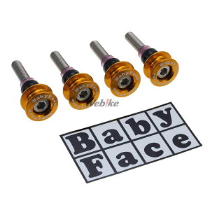 BABYFACE �x�r�[�t�F�C�X �L�����[�t�b�N 790DUKE KTM �c�[�����O�t�b�N