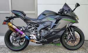 BEET �r�[�g NASSERT Evolution TypeII ���{�F�ؓK�� �t���G�L�]�[�X�g�`�^���}�t���[ Ninja ZX-4R SE ZX-4RR KAWASAKI �J���T�L �t���G�L�]�[�X�g�}�t���[ �}�t���[ �J���[�F�p�[�v���S�[���h�T�C�����T�[