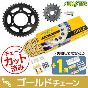 SUNSTAR �T���X�^�[ �`�F�[�����X�v���P�b�g 3�_�Z�b�g Z1-R KAWASAKI �J���T�L �X�v���P�b�g�E�`�F�[���Z�b�g �쓮�n �`�F�[���J���[�F�S�[���h(�`�F�[���i�ԁFSS525SKC-110GD)