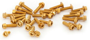 EVOTECH �G�{�e�b�N Fairing Bolts Kit�C Gold ���̑��O���I�v�V�����E��C���i �O��