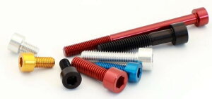 EVOTECH �G�{�e�b�N Ergal Screw Tcei M6X35�C Gold ���̑��ėp�O�����i�E�h���X�A�b�v�p�[�c �O��