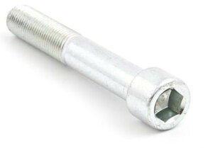 EVOTECH �G�{�e�b�N Spare Bolt M12 X 1.25 60-Zin �ėp�{���g�E�l�W