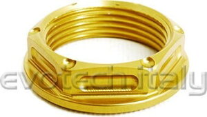 EVOTECH �G�{�e�b�N Ergal Nut M25X1�C5�C Gold �ėp�i�b�g �O��