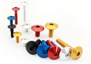 EVOTECH �G�{�e�b�N Ergal Screw Ttlei M5X10�C Gold ���̑��ėp�O�����i�E�h���X�A�b�v�p�[�c �O��