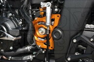 BABYFACE ベビーフェイス チェーンガード CB1000F HORNET HONDA ホンダ フレーム